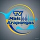 Tv Mais Arapongas