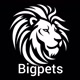 Big Pets 🐾