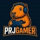 PRJGAMER