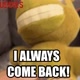 I always come back