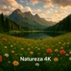 Natureza 4K