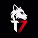 T7 Esports