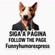 Funnyhumorexpress