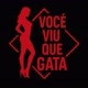 VOCÊ  VIU QUE GATA