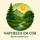 Natureza em cor