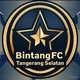 Bintang fc
