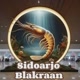 Sidoarjo Blakraan