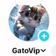 GatoVip