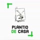 Plantio de casa