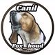 canil fox hound americano🐕