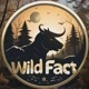 Wild_Factsq7y