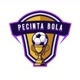 PECINTA BOLA