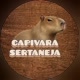 Capivara Sertaneja
