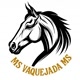 MS VAQUEJADA MS