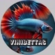 VINIBETTAS