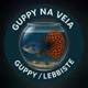 Guppy Na Veia