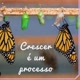 Crescer e um processo