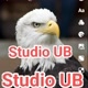 Studio UB 🐓
