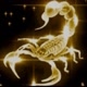 ✨HFM✨☪️🦂scorpion🦂‮☪️