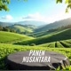Panen Nusantara