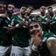 família palmeiras