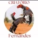 Criatório Fernandes🐓