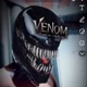VENOM.Palmeira