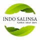 Indo Salinsa