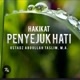 penyejuk hati＠1