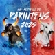 Festival folclórico de Parintins❤️💙