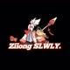 SkyZilong SLWLY