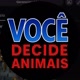 Você Decide BR Animais