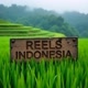 reelsindonesia