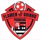 Flamenguinho do Pedregal