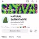 ＠Naturalsativa7wOFC