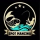 Spot mancing