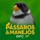 Pássaros & Manejos OFC