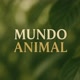 MUNDO ANIMAL 🐟