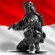 TNI indonesia🇮🇩