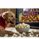 CINE PIPOCA