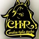 Cavalos Helio Rocha