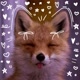 🦊~eu_fox ofc~🦊