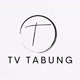 TV tabung
