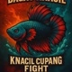 KNACIL fighting betta fish