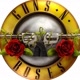 Guns n'roses south america
