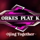 ORKES PLAT-K
