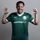 flw rapaziada não sou mas palmeiras