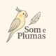 Som e plumas
