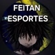 FEITAN ESPORTES