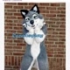 Wolfie furry